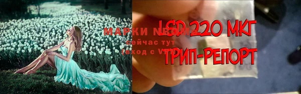 ешки Горнозаводск