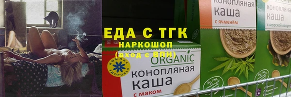 индика Горняк