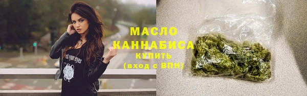 амф Гусь-Хрустальный