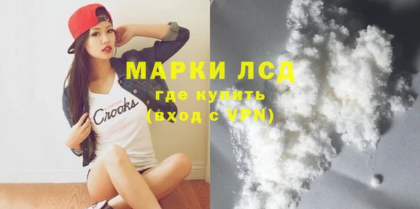 индика Горняк