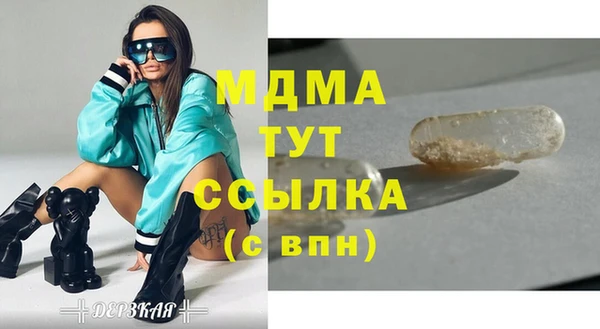 амф Гусь-Хрустальный