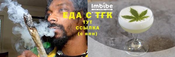 индика Горняк