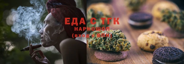 индика Горняк