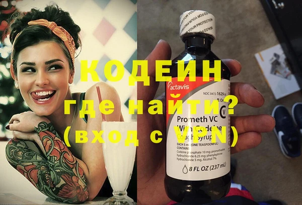 индика Горняк
