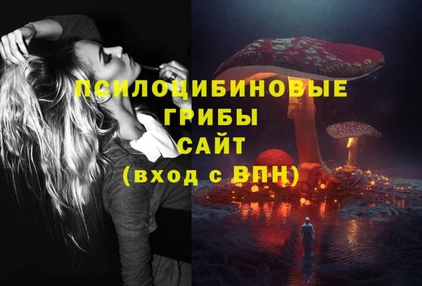 apvp Горно-Алтайск