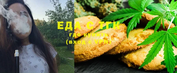 индика Горняк