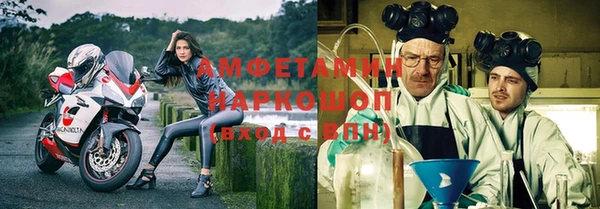 индика Горняк