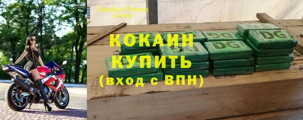 индика Горняк