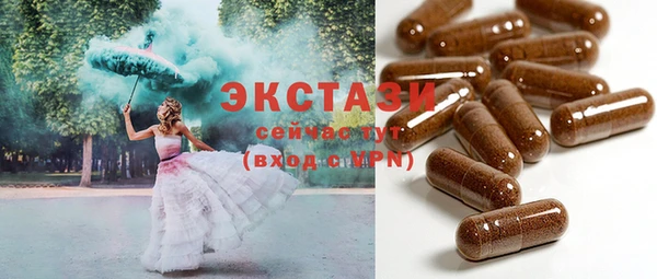 индика Горняк