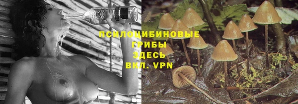 индика Горняк