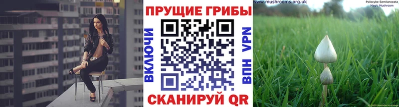 Галлюциногенные грибы прущие грибы  Донской 