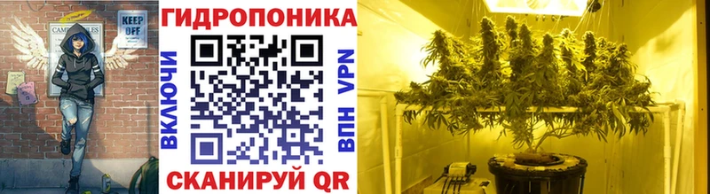 Каннабис AK-47  Донской 